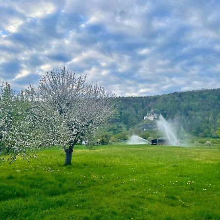 Roemercastell Wirtshaus & Hotel Bohming Εξωτερικό φωτογραφία
